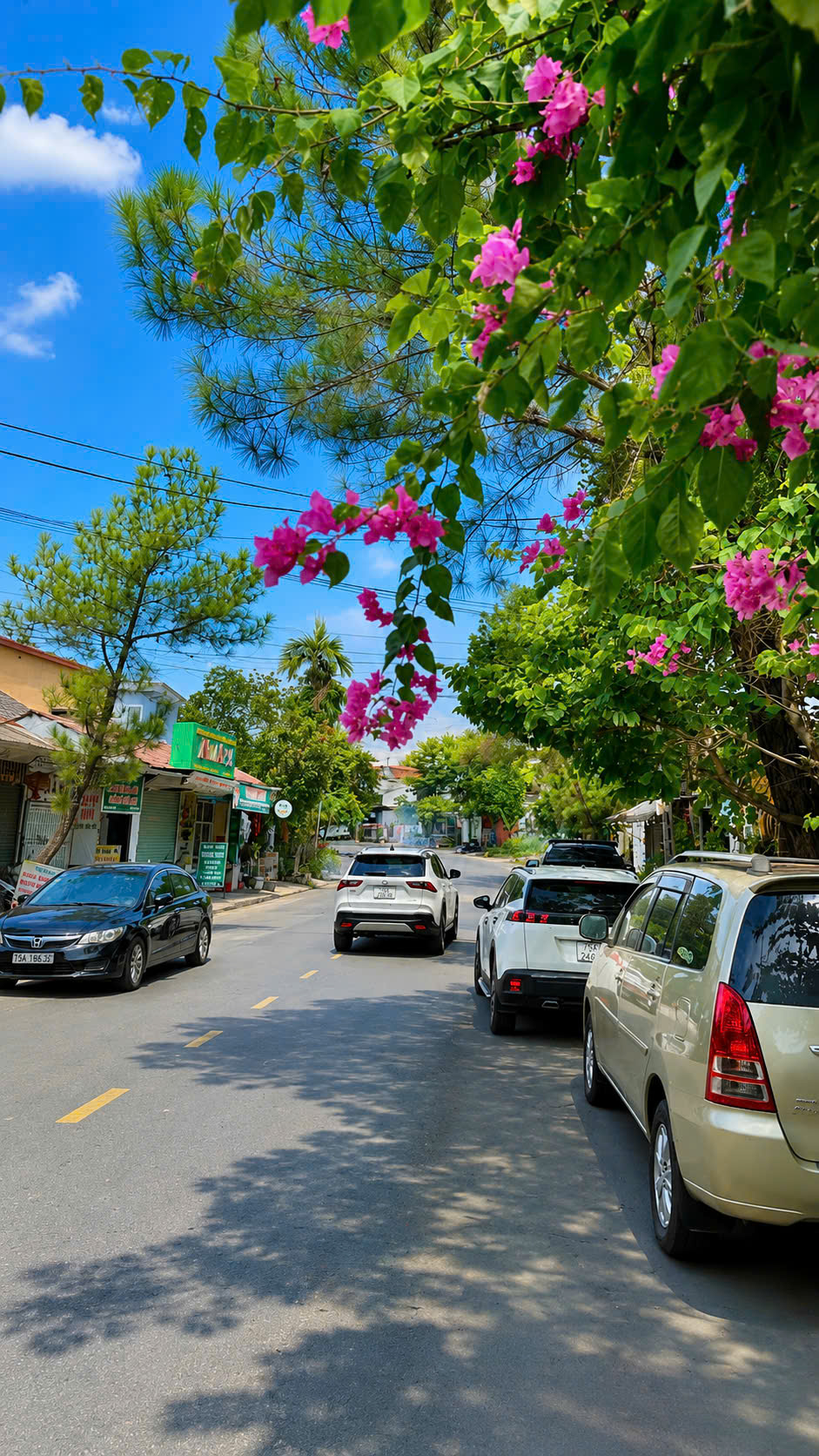BÁN ĐẤT THỔ CƯ PHÂN LÔ GIÁ RẺ NHẤT THỊ TRƯỜNG THUỶ XUÂN - CHỈ TỪ 1,2XX TỶ-3
