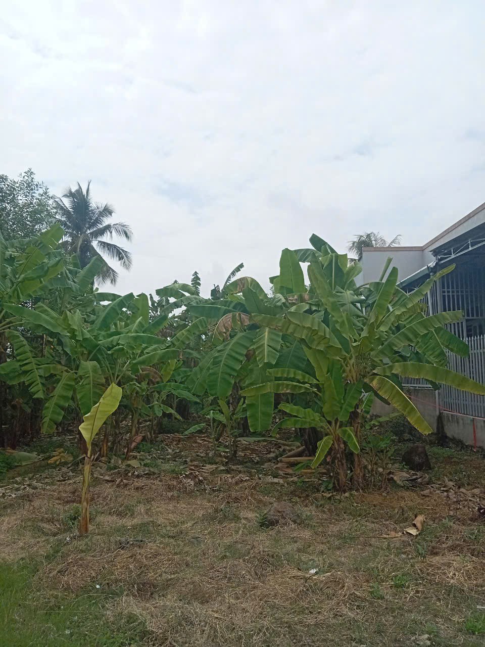 ĐẦU TƯ SINH LỜI - CHÍNH CHỦ CẦN BÁN 2 LÔ ĐẤT ĐẸP Tại Ấp 3, xã GIA CANH, huyện ĐỊNH QUÁN, tỉnh ĐỒNG NAI