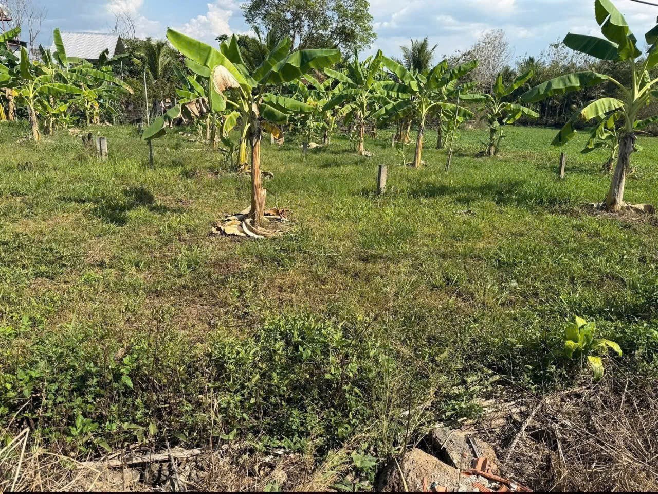 ĐẦU TƯ SINH LỜI - CHÍNH CHỦ CẦN BÁN 2 LÔ ĐẤT ĐẸP Tại Ấp 3, xã GIA CANH, huyện ĐỊNH QUÁN, tỉnh ĐỒNG NAI-4