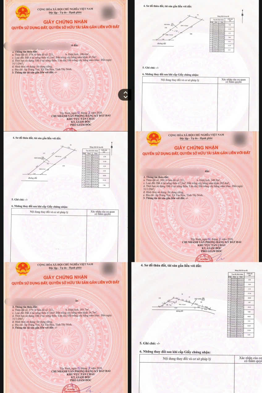 GIÁ 139TR – 159TR – HẾT ĐẤT – BAO SỔ AN TOÀN - Chợ Trảng Trai, Xã Tân Hòa, Tây Ninh-4
