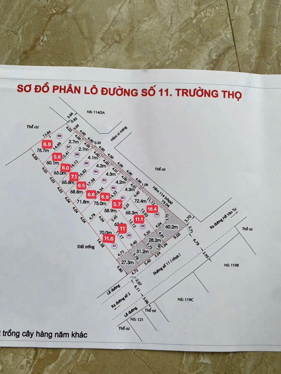 Bán 12 Lô Đất Mặt Tiền 114 Đường Số 11 - Trường Thọ - Thành Phố Thủ Đức-3