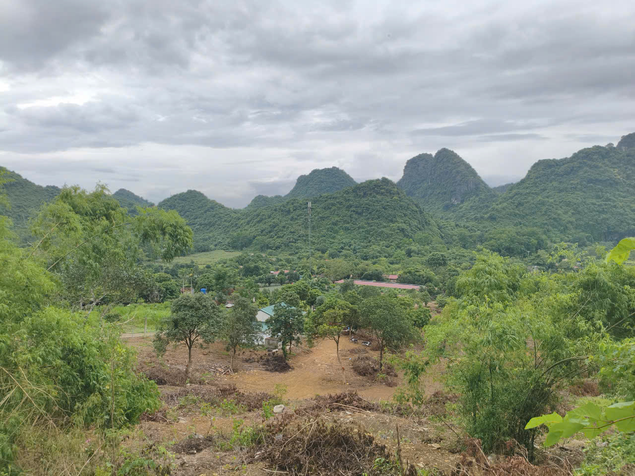 BÁN ĐẤT KHU DU LỊCH QUÈN THỜ – TAM ĐIỆP, NINH BÌNH
