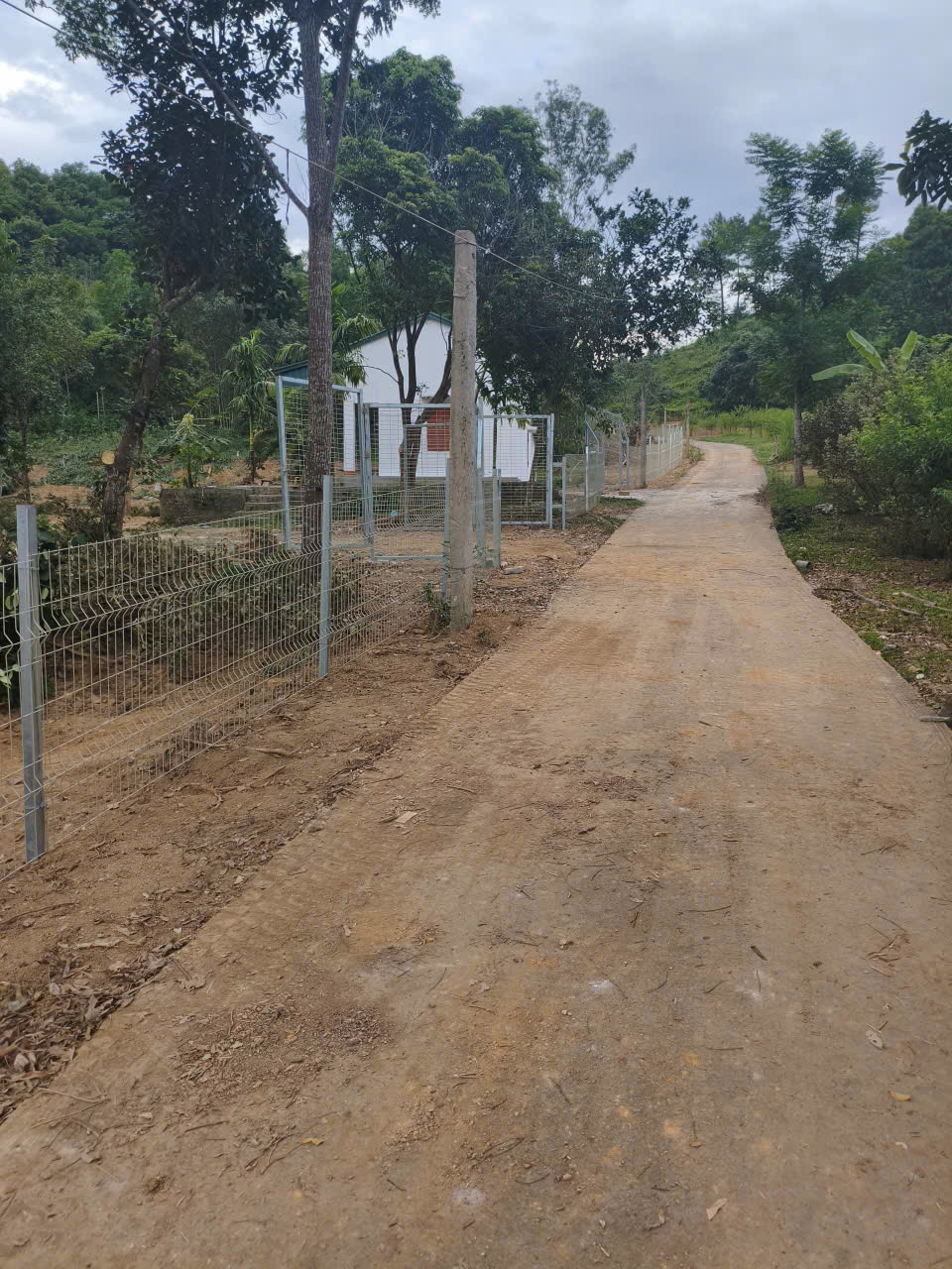 BÁN ĐẤT KHU DU LỊCH QUÈN THỜ – TAM ĐIỆP, NINH BÌNH-4