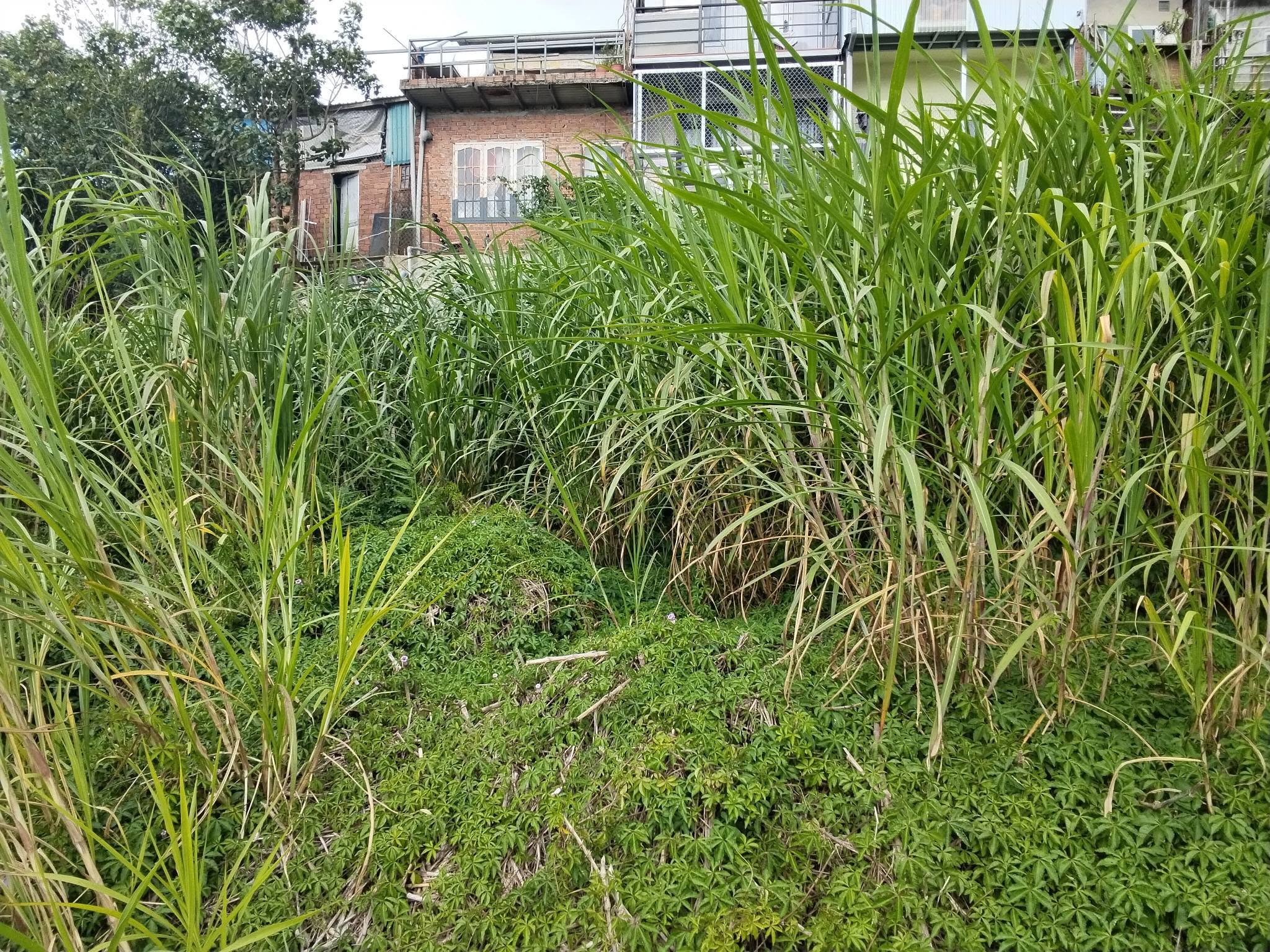 ĐẤT ĐẸP TÔ HIỆU – ĐÀ LẠT  VIEW THOÁNG – ĐƯỜNG Ô TÔ TẬN NƠI
