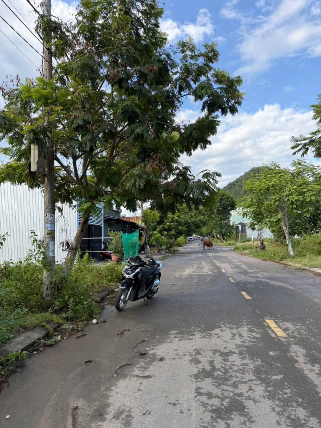 🔴💥Bán đất đường 7,5m Đại La 2 - Gần đường Hoàng Văn Thái