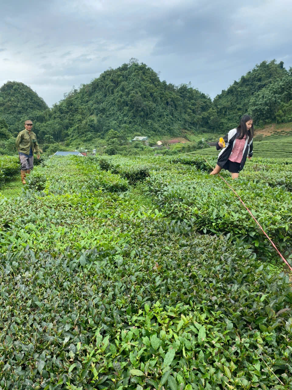BÁN 5.000M² ĐẤT – 400M² THỔ CƯ PHƯỜNG VÂN SƠN, MỘC CHÂU-4