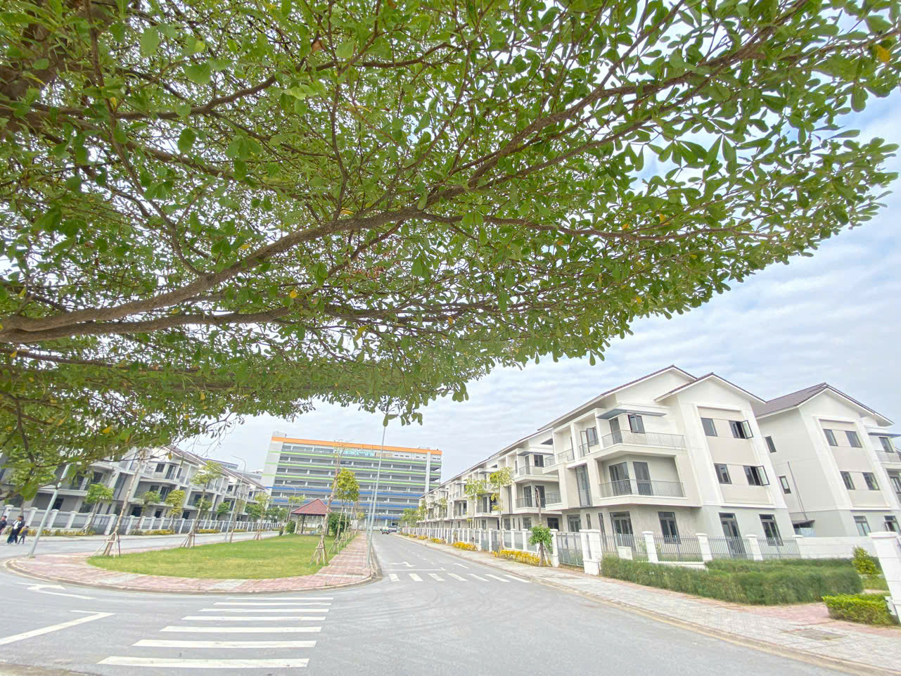 🌳 BIỆT THỰ ĐƠN LẬP VIEW CÔNG VIÊN – VỊ TRÍ ĐỘC BẢN TẠI CENTA RIVERSIDE-3
