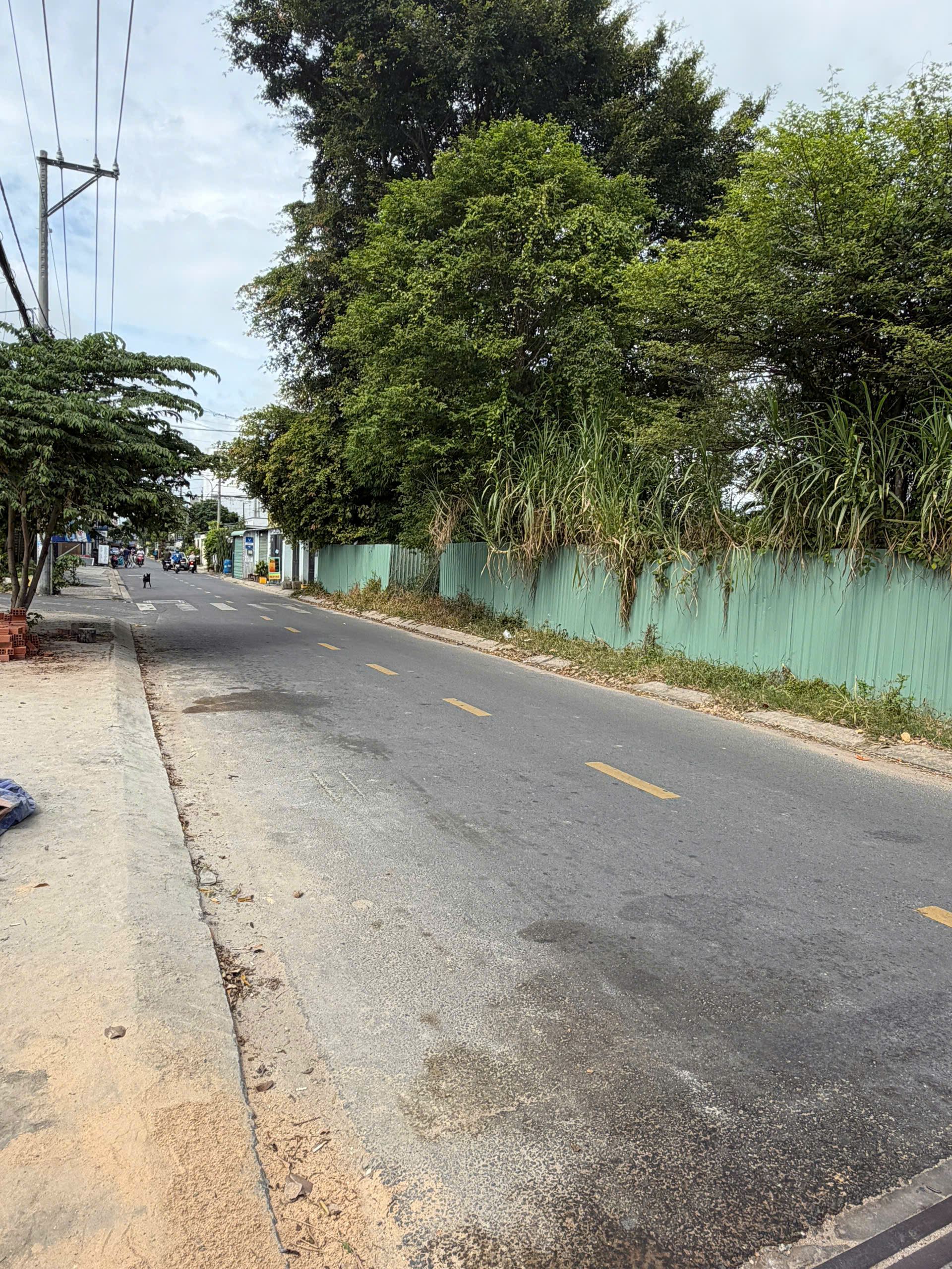 CẦN BÁN GẤP ĐẤT TẠI TÂN HIỆP 18, HÓC MÔN, TP. HCM-3