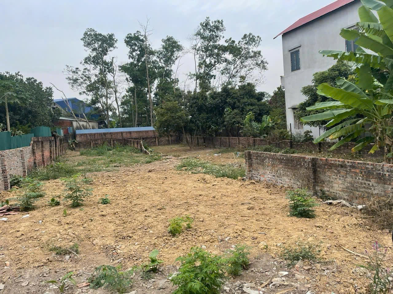 CHÍNH CHỦ CẦN BÁN ĐẤT ĐẸP THANH TRÍ – MINH PHÚ – SÓC SƠN, HÀ NỘI NHỈNH 6 TỶ