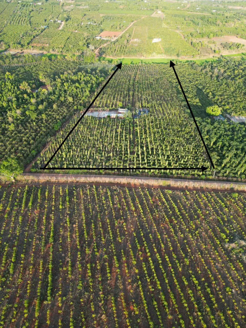 HOT HOT – CẦN BÁN 2,7HA ĐẤT 2 MẶT TIỀN, X. Đak Djăng, H. Mang Yang, T. Gia Lai-4