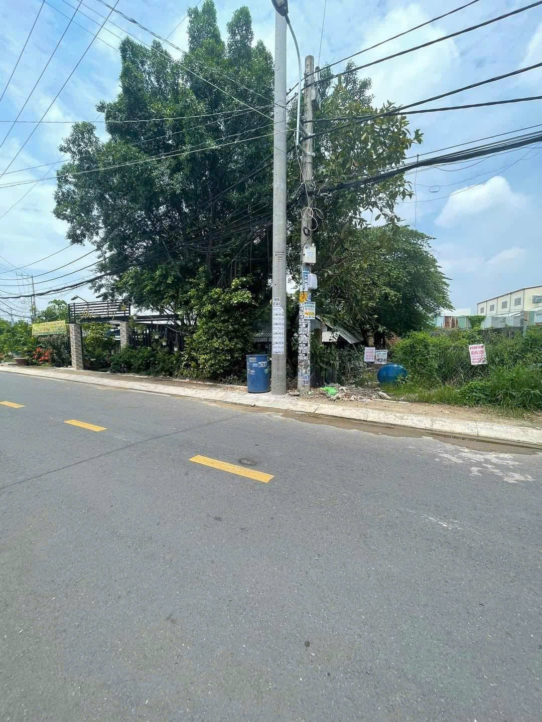 CHO THUÊ ĐẤT MẶT TIỀN ĐÔNG THẠNH 6-3 – 1.000M² – VỊ TRÍ ĐẸP, GIÁ TỐT