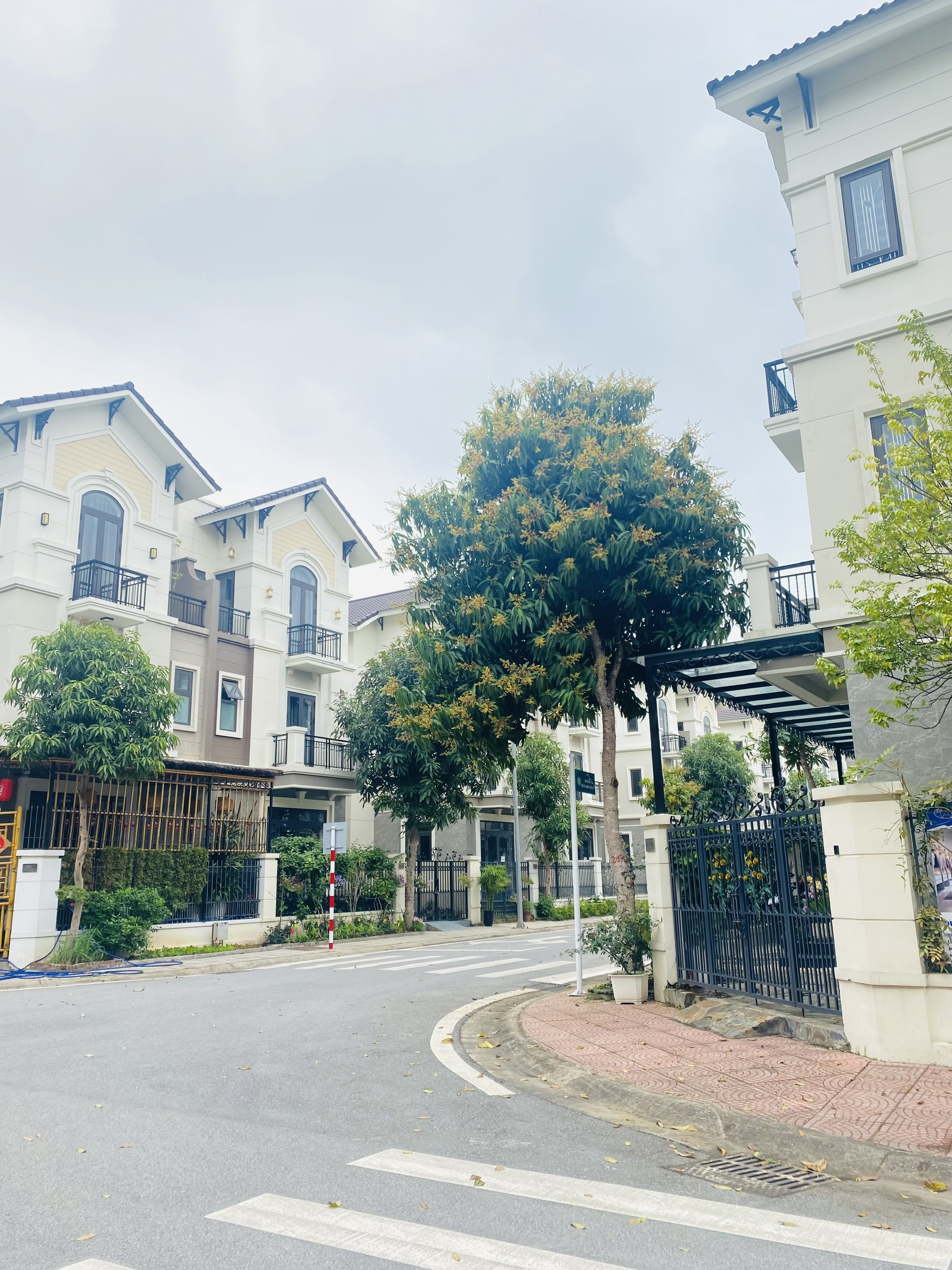 🏡 BIỆT THỰ SONG LẬP 135M² – 9,445 TỶ CENTA CITY | SỔ ĐỎ SANG TÊN NGAY