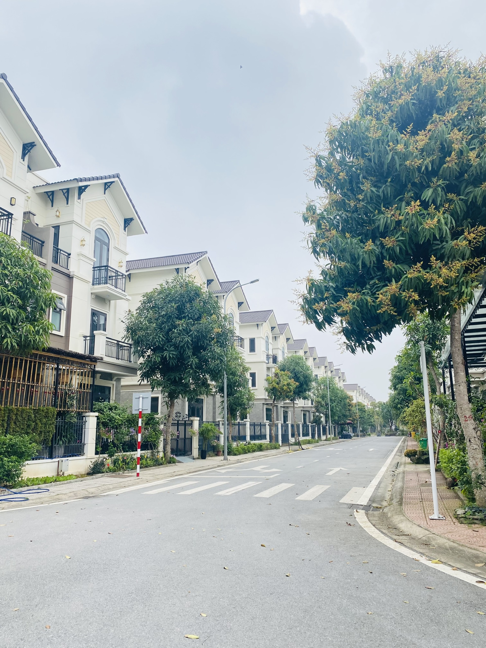 🏡 BIỆT THỰ SONG LẬP 135M² – 9,445 TỶ CENTA CITY | SỔ ĐỎ SANG TÊN NGAY