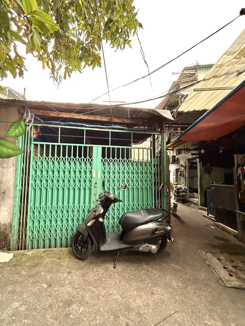 🎉SIÊU PHẨM MẮT TIỀN THỤC- 114M2 NGANG 7M*15M- XE HƠI VÀO NHÀ Đ.TÔN THẤT THUYẾT NGAY CÔNG VIÊN KHÁNH HỘI- ĐI HOÀNG DIỆU- BẾN VÂN ĐỒN