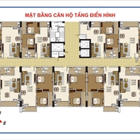 Tầng điển hình Tầng điển hình