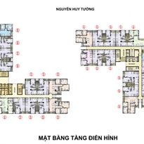 Tầng điển hình