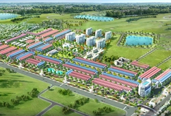 TNR Star Tân Trường