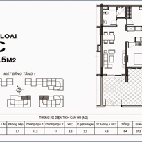 Thiết kế căn hộ loại C