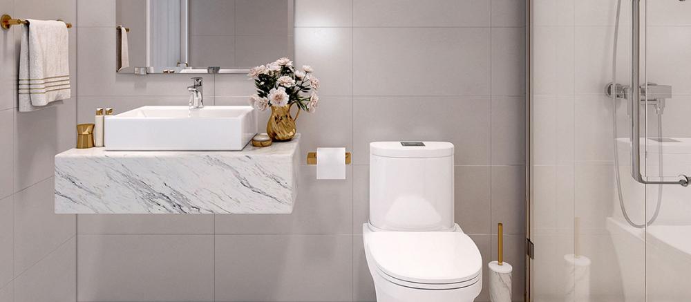 Căn hộ Roxana Plaza 5