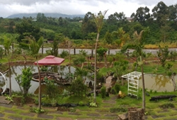 Bảo Lộc House