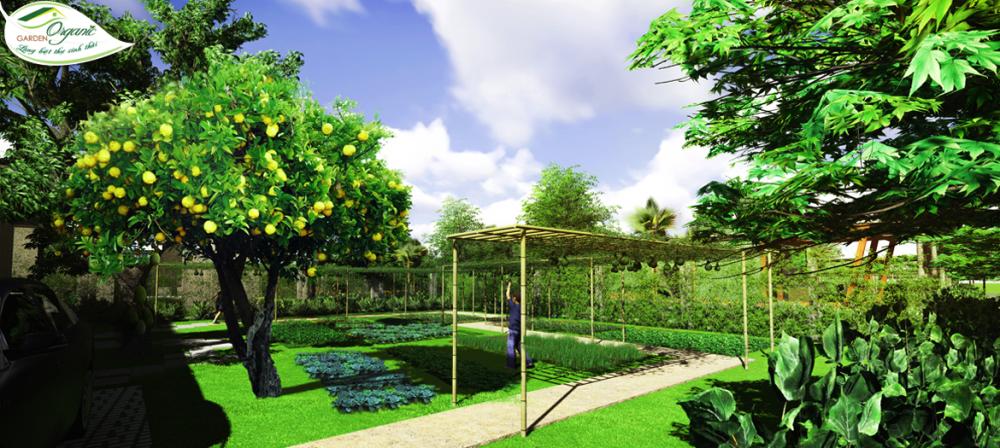 Biệt thự loại I 4