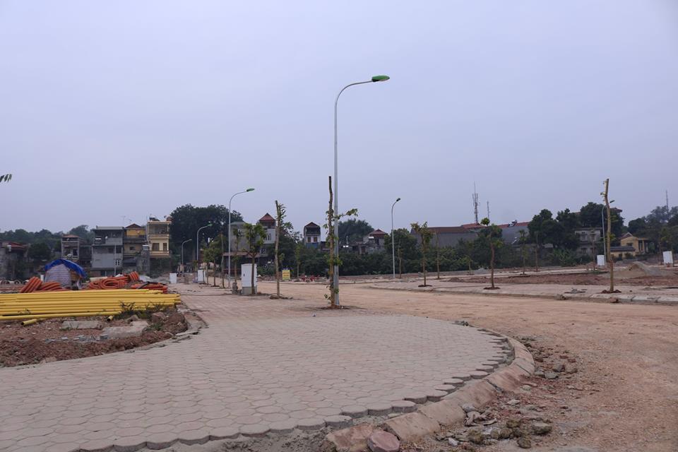 Hình ảnh thực tế dự án
