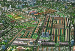 Lavender City