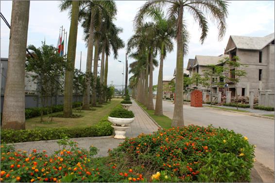Dự án đang trong quá trình hoàn thiện
