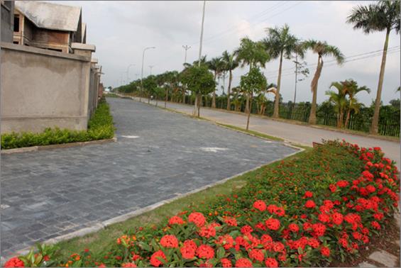 Dự án đang trong quá trình hoàn thiện