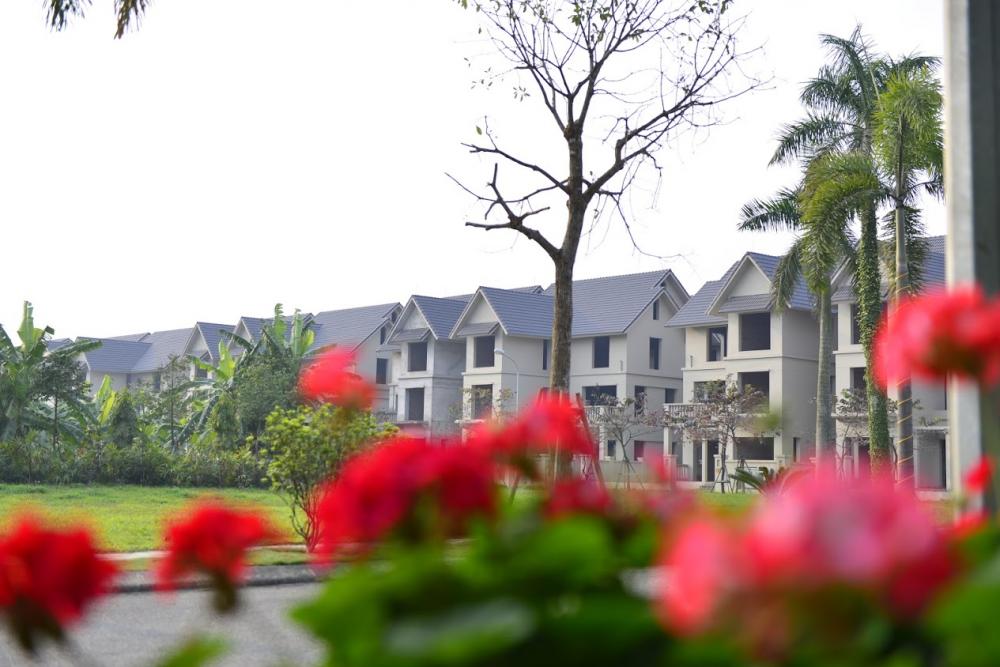 Hình ảnh thực tế dự án