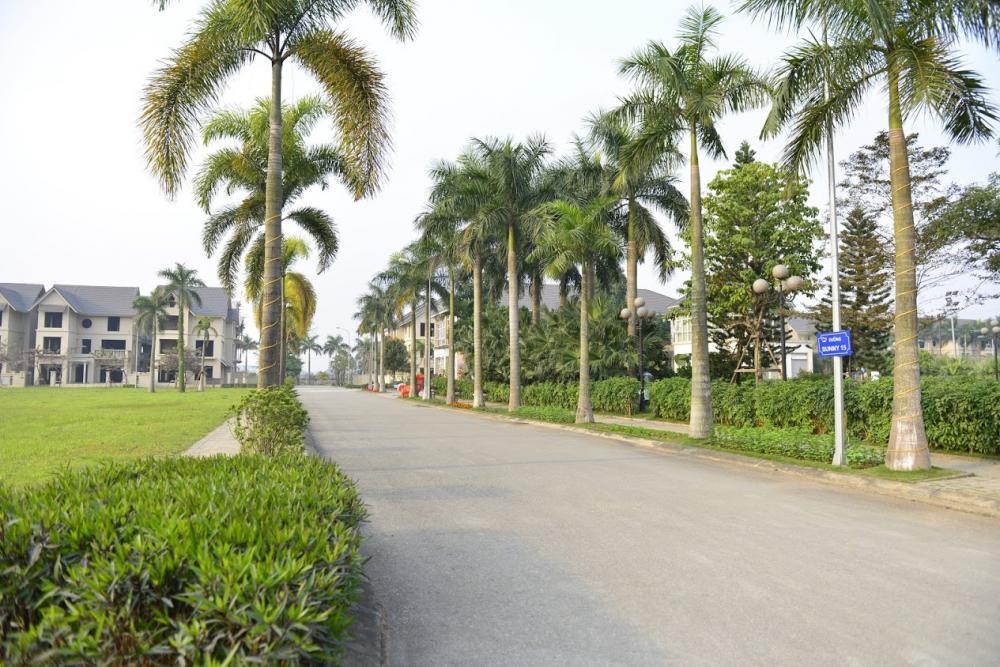 Hình ảnh thực tế dự án