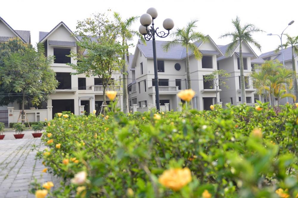 Hình ảnh thực tế dự án