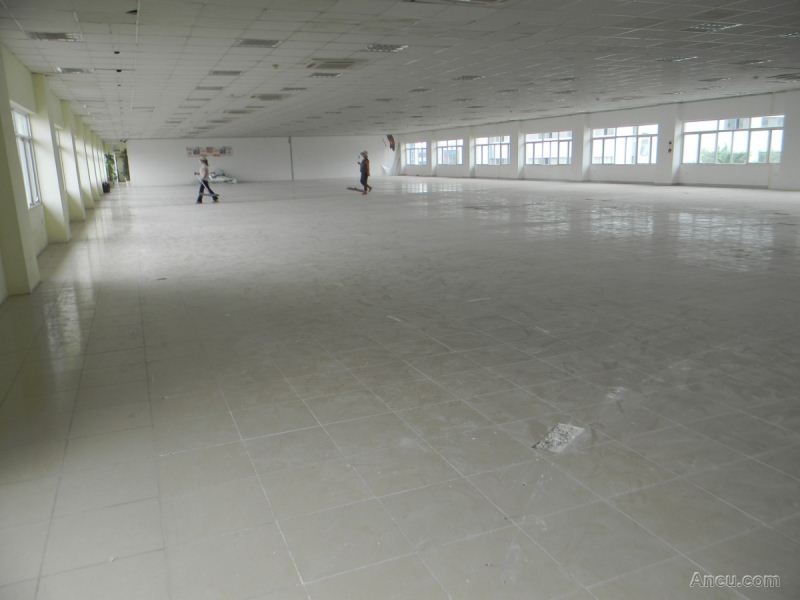 Văn phòng ICD