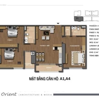 Thiết kế căn hộ A1, A4 Thiết kế căn hộ A1, A4