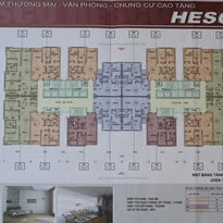 Tầng điển hình Tầng điển hình