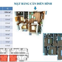 Thiết kế căn hộ G Thiết kế căn hộ G