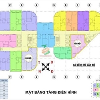 Tầng điển hình Tầng điển hình