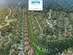 Haborizon Nha Trang-0