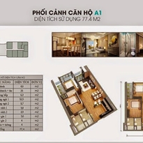 Thiết kế căn hộ A1 Thiết kế căn hộ A1