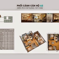 Thiết kế căn hộ A2 Thiết kế căn hộ A2