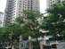Vicem Comatce Tower-1