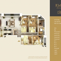 Thiết kế căn hộ P Thiết kế căn hộ P