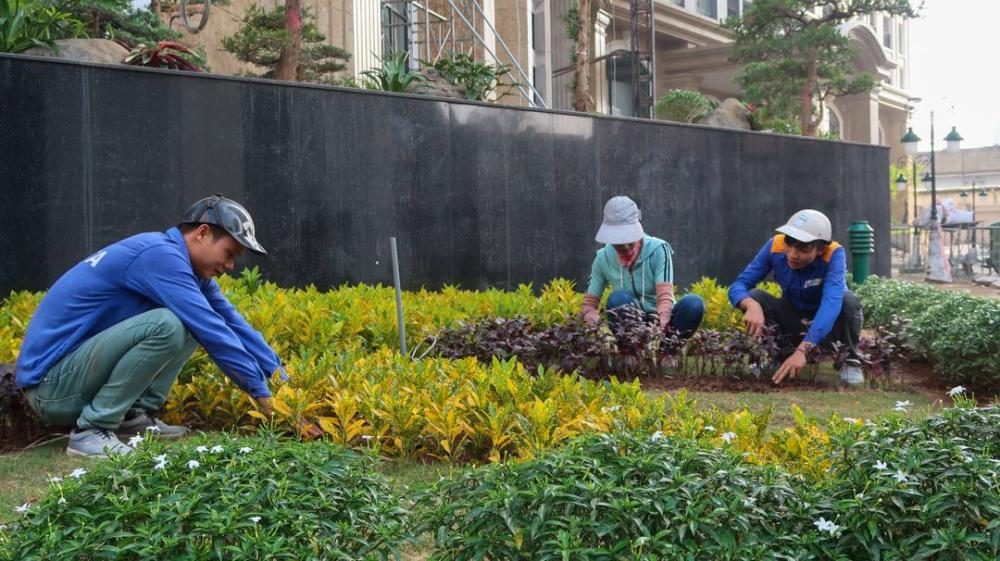 Dự án đang hoàn thiện những công đoạn cuối cùng để bàn giao nhà