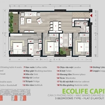 Thiết kế căn hộ D Thiết kế căn hộ D