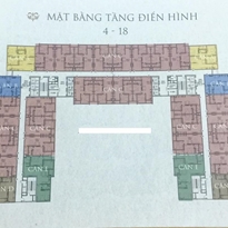 Tầng điển hình