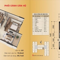 Thiết kế căn hộ 1B