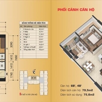 Thiết kế căn hộ 6B'