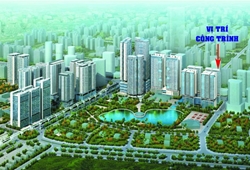 N01-T1 Ngoại Giao Đoàn