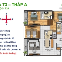 Thiết kế căn hộ 5 - T3A Thiết kế căn hộ 5 - T3A