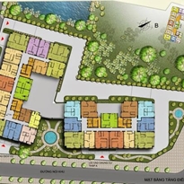 Tầng điển hình Tầng điển hình